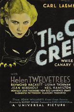 Meia Noite em Ponto (The Cat Creeps)