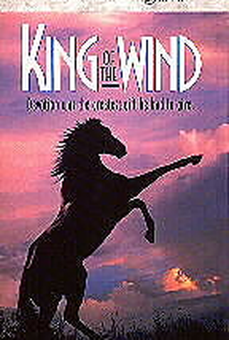 Poster 1 de Filme O Filho da Tempestade (1990)