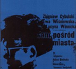 Sam Posród Miasta