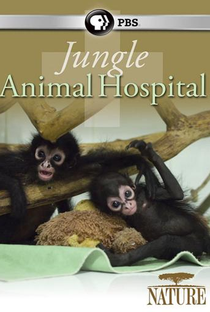 The BBC: Natural World - Jungle Animal Hospital - Poster / Capa / Cartaz - Oficial 1