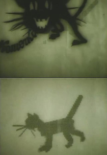 Kitten (Кошечка)