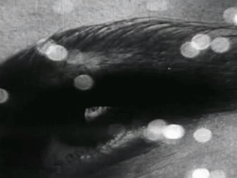 Foto 2 de Tríptico da Matéria e da Morte