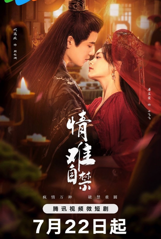 Poster 1 de Série Lost You, Found You (2024)