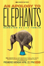 Desculpa aos Elefantes (An Apology to Elephants)