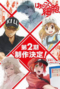 Hataraku Saibou (2ª Temporada) - Poster / Capa / Cartaz - Oficial 1