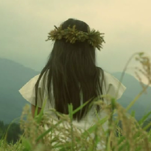 Foto de perfil de Fernando A.