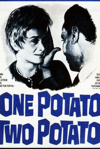 Poster 1 de Filme O Processo de Julie Richards (1964)