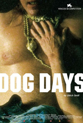 Poster 2 de Filme Dias de Cão (2001)