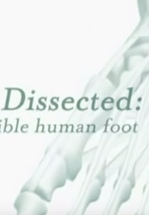 Dissecado: O Incrível Pé Humano ( Dissected: The Incredible Human Foot)