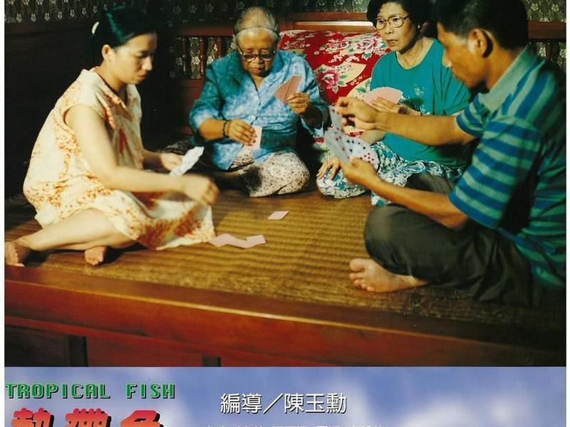 Foto 2 de Tropical Fish