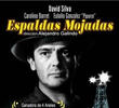 Espaldas mojadas