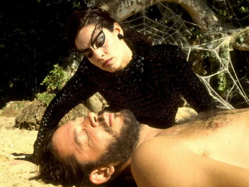 Foto 3 de O Beijo da Mulher-Aranha