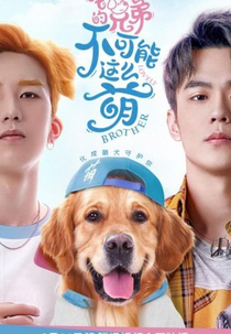 Lovely Brother (我的兄弟不可能在这么萌)