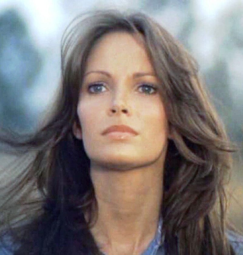 Jaclyn Smith - Foto 22