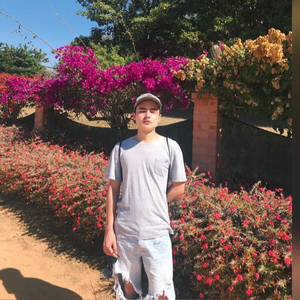 Foto de perfil de Nicolas