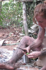 40 Days Falling Apart (40 Days Falling Apart)