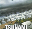 Tsunami : Os Segredos das Ondas Gigantes