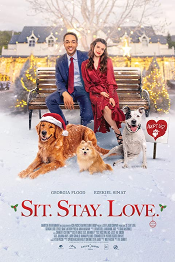  de Filme Adotando Amor no Natal (2021)
