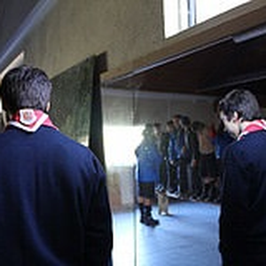 Foto de perfil de Ricardo Ferreira