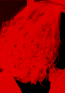 Saxífragas, Quatro Noites Brancas (Saxifrages, Quatre Nuits Blanches)