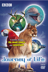 Journey of Life (Journey of Life)