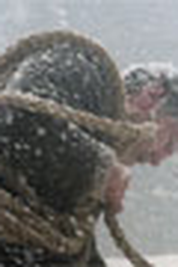 Poster de Curta Colder (2005)