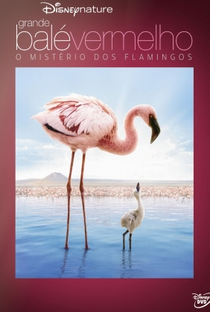 Grande Balé Vermelho: O Mistério Dos Flamingos - Poster / Capa / Cartaz - Oficial 5