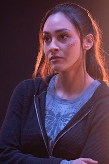 Poster de Episódio The Stranger (2020)