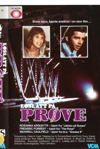 Poster 1 de Filme The Parade (1984)