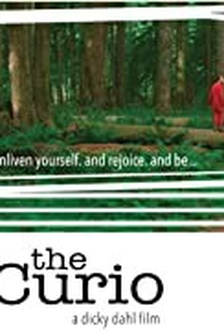 Poster 2 de Filme The Curio (2015)