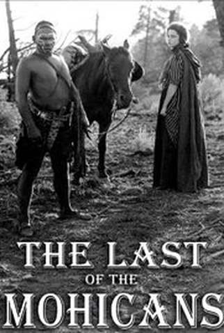 Poster 1 de Filme O Último dos Moicanos (1920)