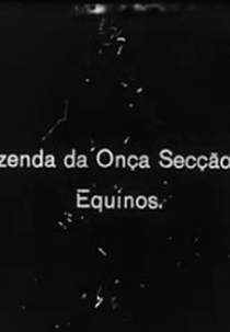 Fazenda da Onça (Fazenda da Onça)