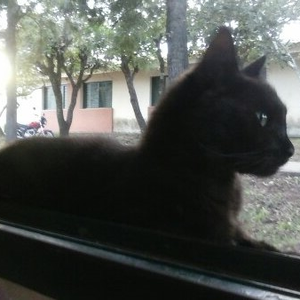 Foto de perfil de Meidilene Prates de Souza