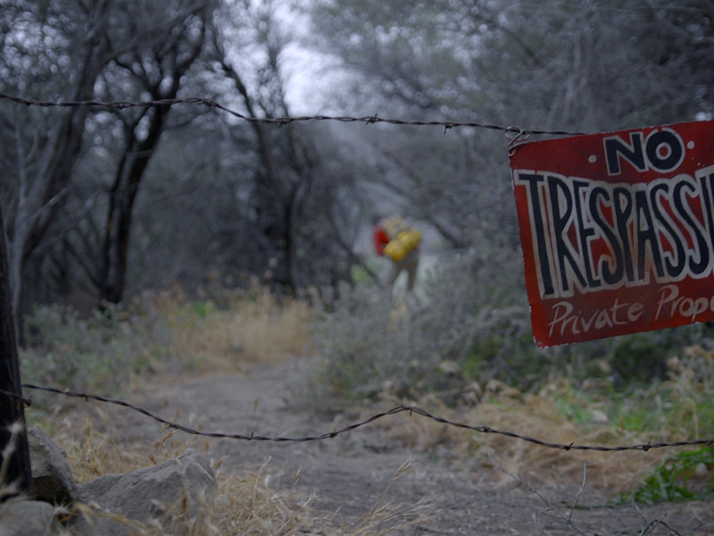 Foto 6 de Never Hike Alone