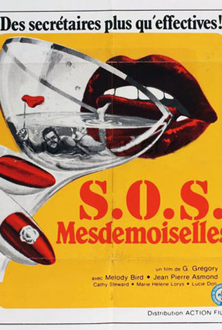 Poster 1 de Filme SOS Mademoiselle (1980)