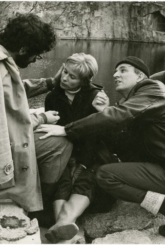 Poster 2 de Filme Ingmar Bergman (1971)