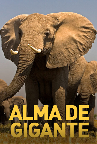 Poster 1 de Série Alma de Gigante (2015)