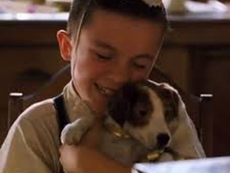 Foto 10 de Meu Cachorro Skip