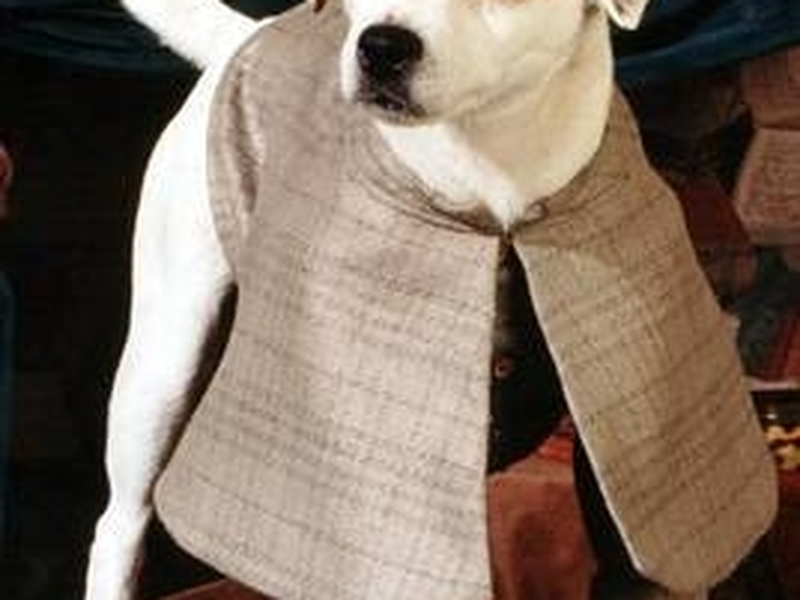 Foto 8 de The Slobbery Hound by Wishbone