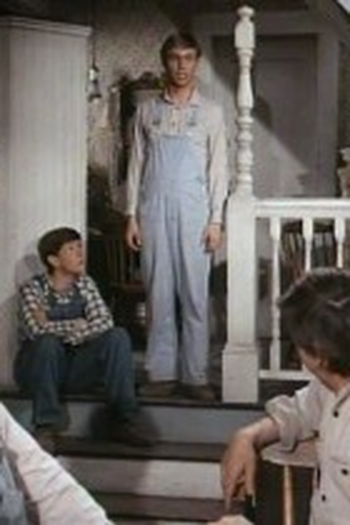 Poster de Episódio The Graduation (1974)