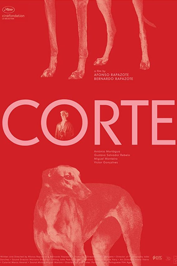 Poster de Curta Corte (2020)