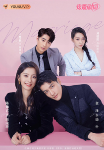 101 Marriages (101次抢婚)