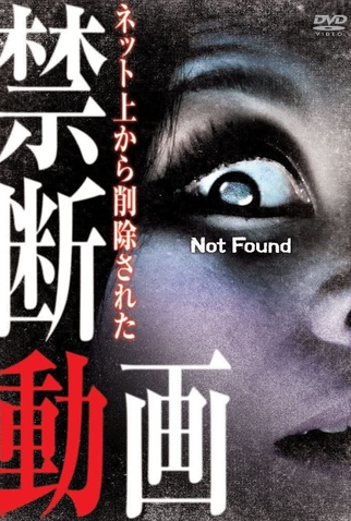 Poster 1 de Filme Not Found (2011)