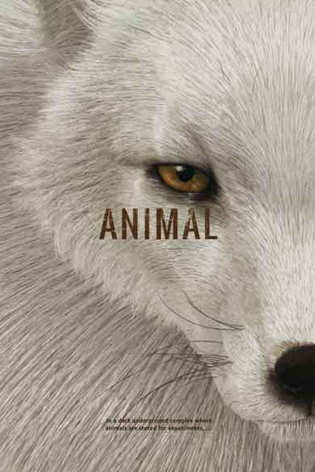 Poster de Curta Animal (2013)