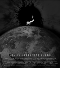 Din of Celestial Birds (Din of Celestial Birds)