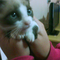 Foto de Raissa Almeida