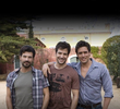 Gavilanes