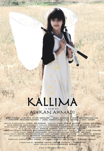 Butterfly (Kallima)