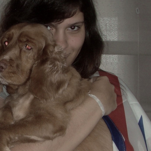 Foto de perfil de Amanda Waldhelm