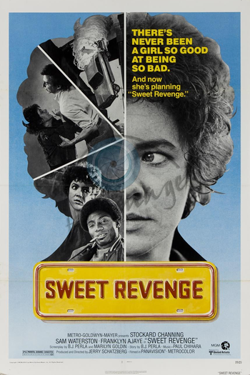 Poster de Filme Sweet Revenge  (1976)